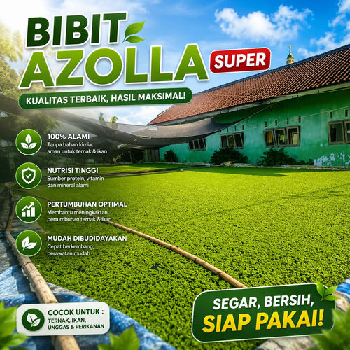 Produk